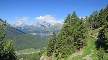 Картинка природа пейзажи лес горы