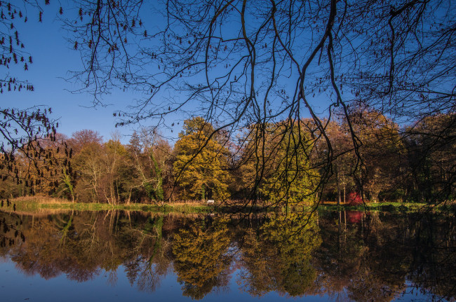 Обои картинки фото природа, реки, озера, река, лес