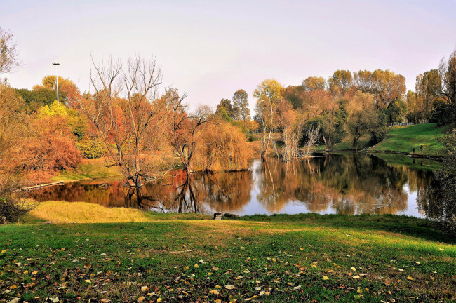 Обои картинки фото природа, реки, озера, лес, река