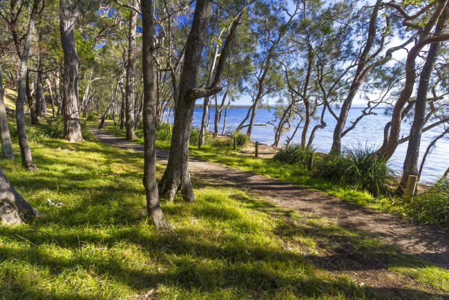 Обои картинки фото природа, дороги, простор