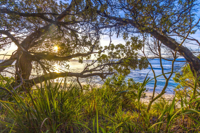 Обои картинки фото природа, пейзажи, простор