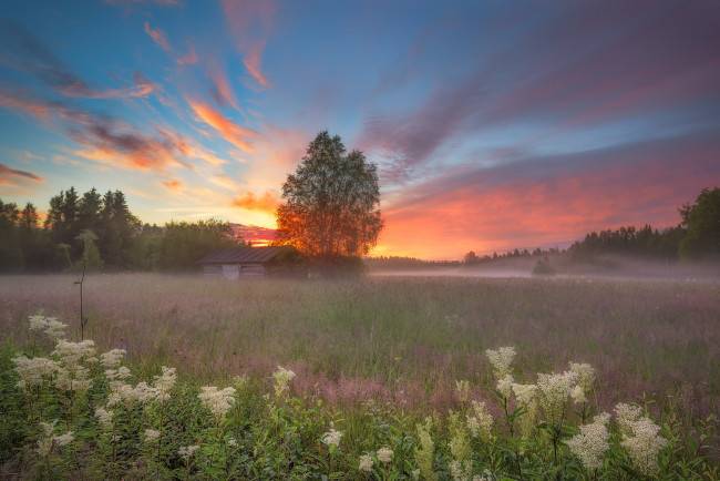 Обои картинки фото природа, восходы, закаты, луг, лес, туман, закат