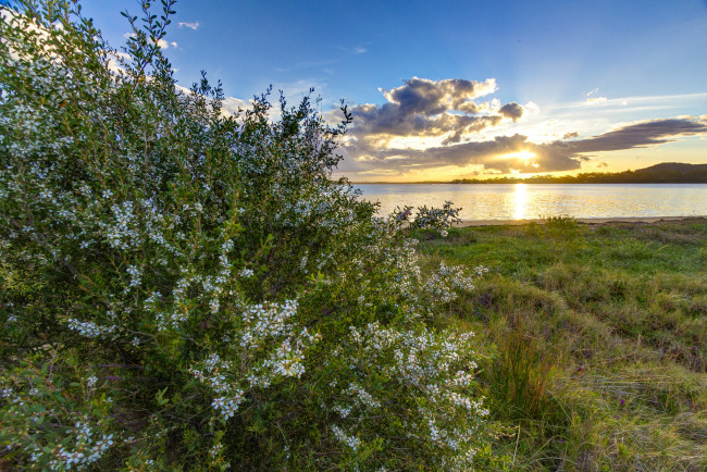 Обои картинки фото природа, восходы, закаты, простор