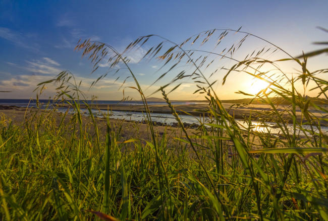 Обои картинки фото природа, восходы, закаты, простор