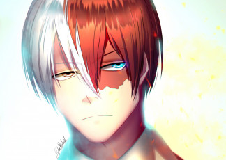 Картинка аниме boku+no+hero+academia тодороки шото