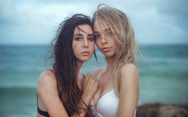 Обои картинки фото девушка, девушки, -unsort , группа девушек, модель