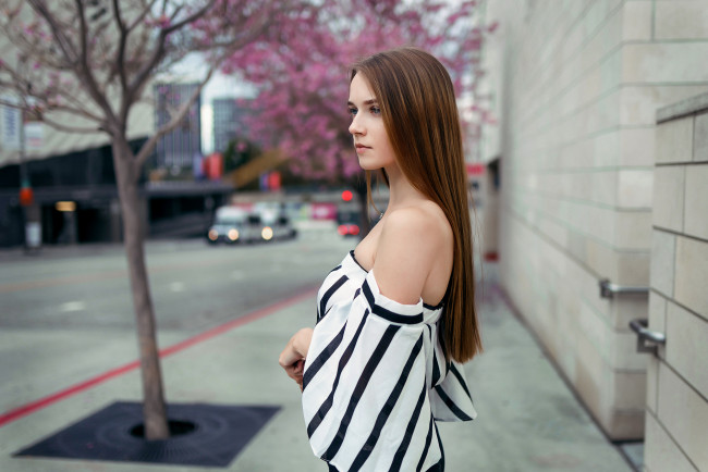 Обои картинки фото девушка, девушки, -unsort , брюнетки, темноволосые, модель