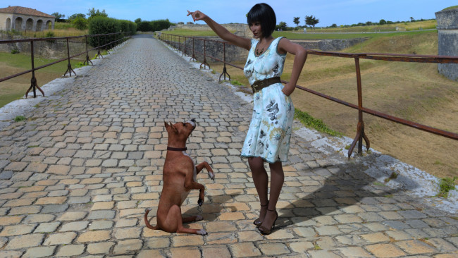 Обои картинки фото 3д графика, люди и животные , people and animals, собака, фон, взгляд, девушка