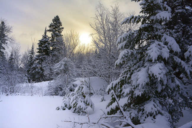 Обои картинки фото природа, зима, простор