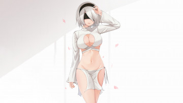 Картинка видео+игры nier +automata automata