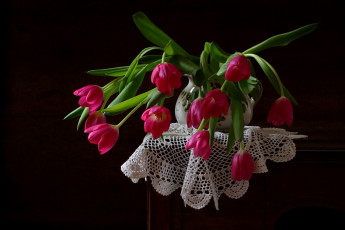 Картинка цветы тюльпаны