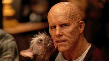 Картинка deadpool+&+wolverine+ +2024+ кино+фильмы deadpool+&+wolverine дэдпул и росомаха фантастика боевик комедия райан рейнольдс ryan reynolds кадры из фильма