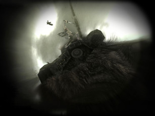 Картинка видео+игры shadow+of+the+colossus воин меч птица высота