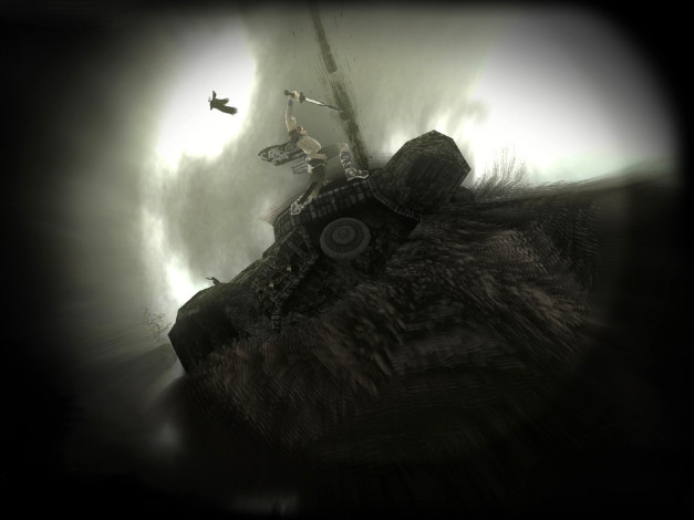 Обои картинки фото видео игры, shadow of the colossus, воин, меч, птица, высота