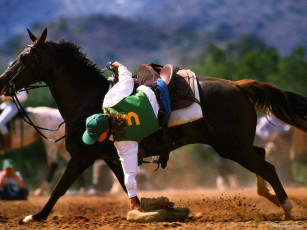 Картинка спорт конный