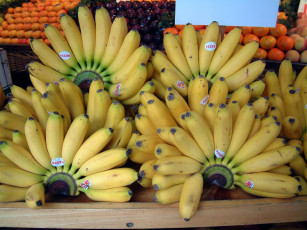 Картинка еда бананы