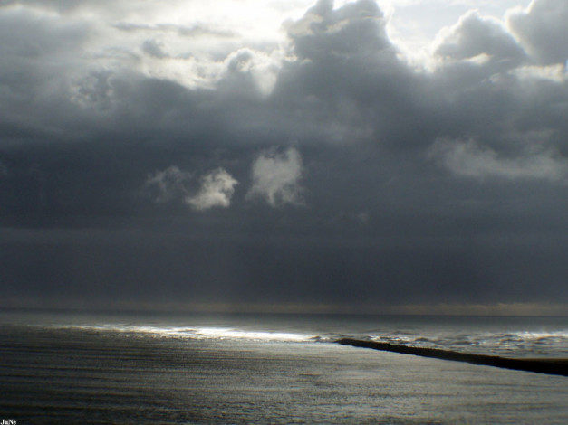 Обои картинки фото 