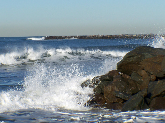 Обои картинки фото 