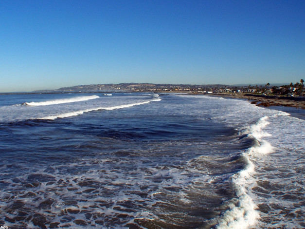 Обои картинки фото 