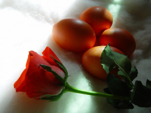 Картинка еда Яйца