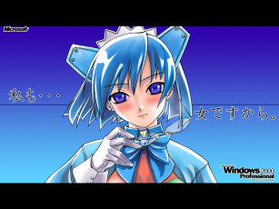 обоя компьютеры, windows, 2000