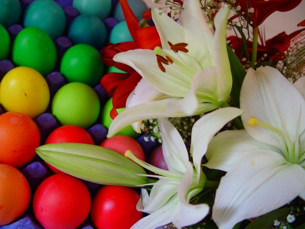 Обои картинки фото еда, Яйца