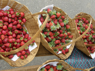 Картинка еда клубника земляника