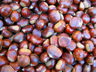 Картинка еда орехи каштаны