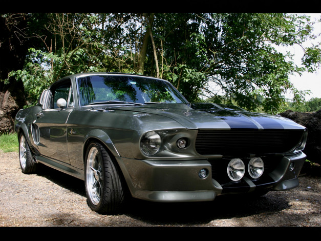 Обои картинки фото автомобили, ford