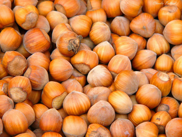 Обои картинки фото еда, орехи, каштаны