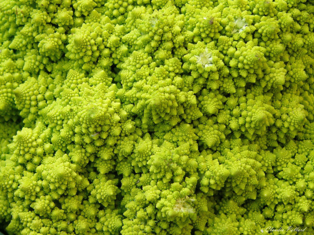 Обои картинки фото еда, овощи