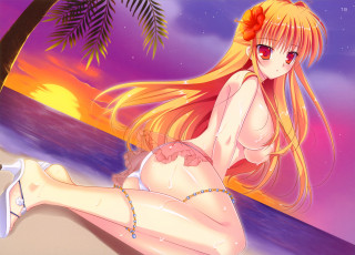 Картинка аниме *unknown другое закат пляж девушка