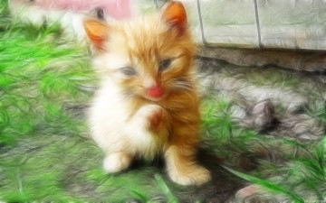 Картинка 3д графика animals животные котик