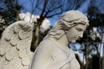 Картинка разное рельефы статуи музейные экспонаты ангел