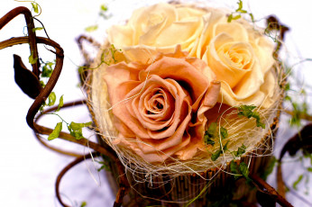 Картинка цветы розы трио