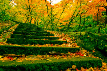 Картинка природа дороги китай