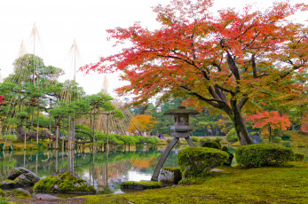 Картинка природа парк китай