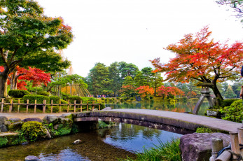 Картинка природа парк красота