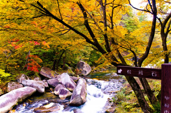 Картинка природа реки озера китай