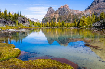 Картинка природа реки озера пейзаж