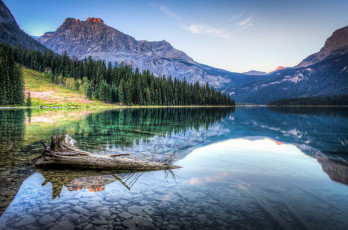 Картинка природа реки озера пейзаж горы лес отражение коряга