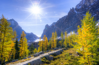 Картинка природа восходы закаты солнце горы лес деревья