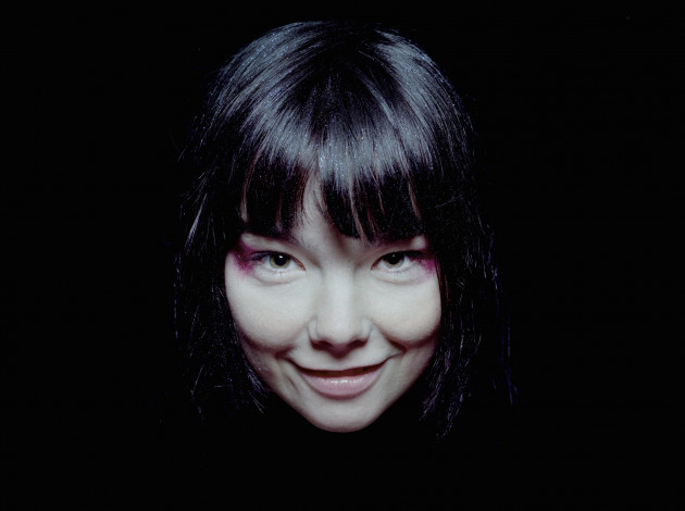 Обои картинки фото bjork, музыка, вокалистка, композитор, актриса, исландия