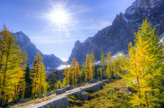 Обои картинки фото природа, восходы, закаты, солнце, горы, лес, деревья