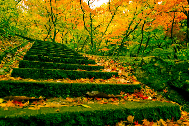 Обои картинки фото природа, дороги, китай