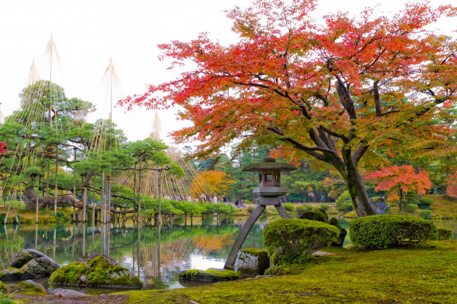 Обои картинки фото природа, парк, китай