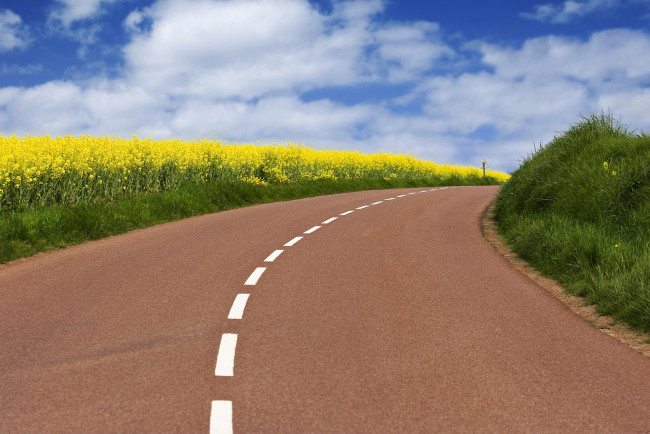 Обои картинки фото природа, дороги, поле, дорога, разметка