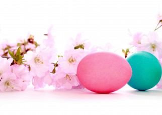 обоя праздничные, пасха, вишневая, веточка, яички, праздник, цветы, цветение