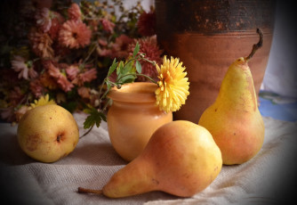 Картинка еда груши плоды цветы