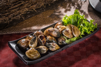 Картинка еда рыба +морепродукты +суши +роллы моллюски